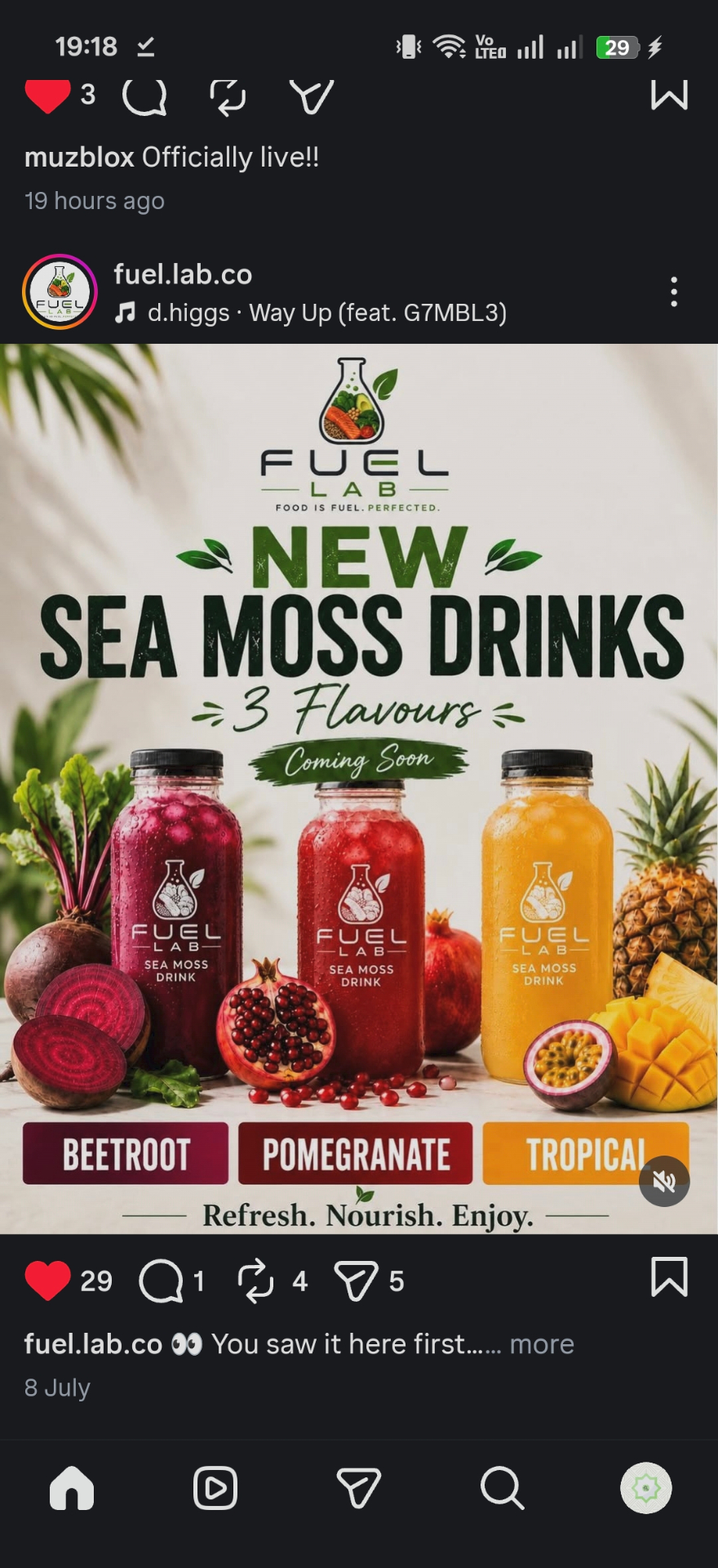 Sea moss drinks